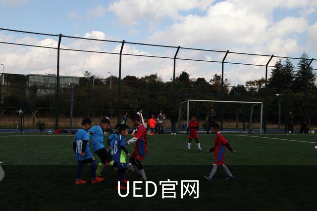UED官网